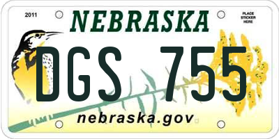 NE license plate DGS755