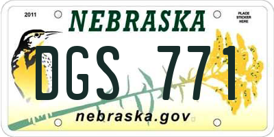 NE license plate DGS771