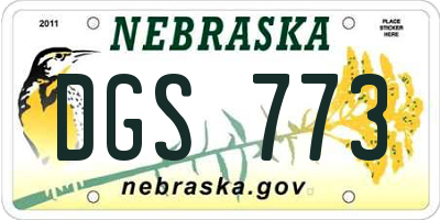 NE license plate DGS773