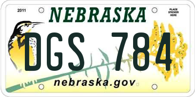 NE license plate DGS784
