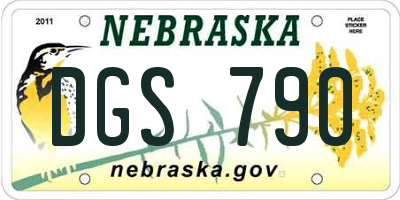 NE license plate DGS790