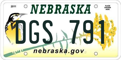 NE license plate DGS791
