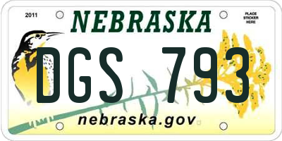 NE license plate DGS793