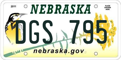 NE license plate DGS795