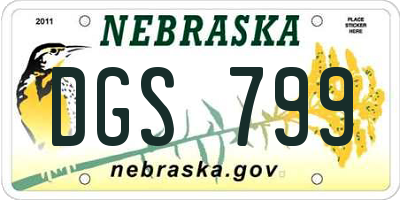 NE license plate DGS799