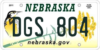 NE license plate DGS804