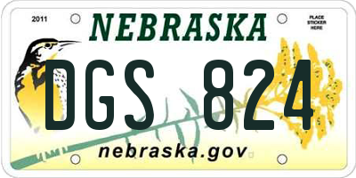 NE license plate DGS824