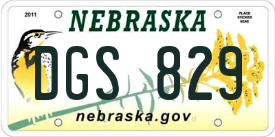 NE license plate DGS829