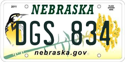 NE license plate DGS834