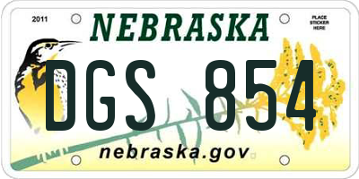 NE license plate DGS854