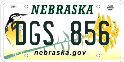 NE license plate DGS856