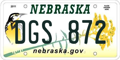 NE license plate DGS872