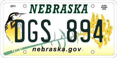 NE license plate DGS894