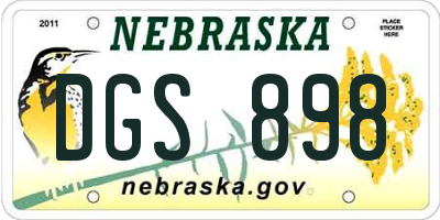 NE license plate DGS898