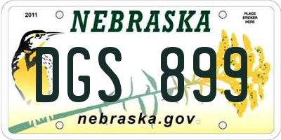 NE license plate DGS899