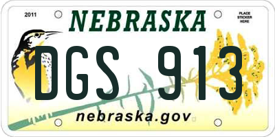 NE license plate DGS913