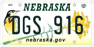 NE license plate DGS916