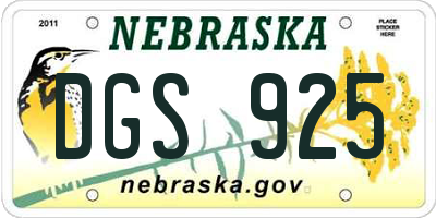 NE license plate DGS925