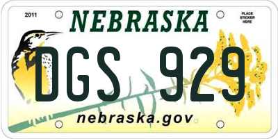 NE license plate DGS929