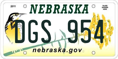 NE license plate DGS954