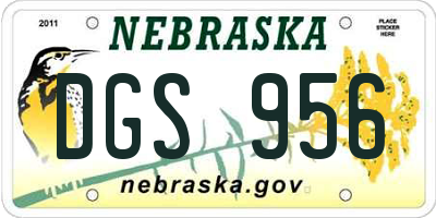 NE license plate DGS956