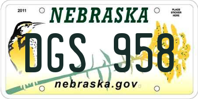 NE license plate DGS958