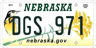 NE license plate DGS971