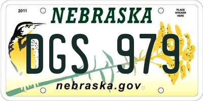 NE license plate DGS979