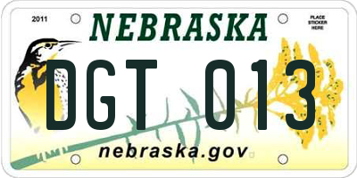 NE license plate DGT013