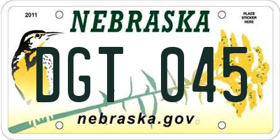 NE license plate DGT045