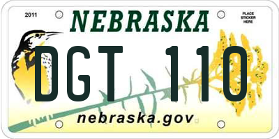 NE license plate DGT110