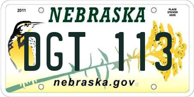 NE license plate DGT113