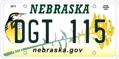 NE license plate DGT115