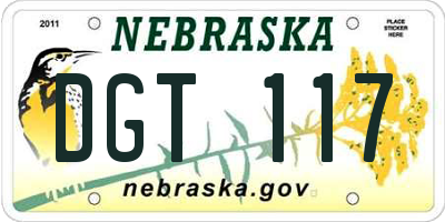 NE license plate DGT117