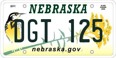 NE license plate DGT125