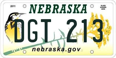 NE license plate DGT213