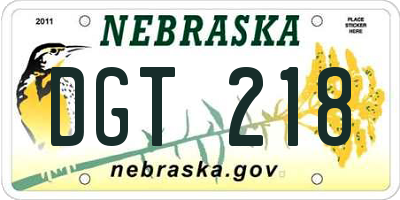 NE license plate DGT218