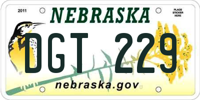 NE license plate DGT229