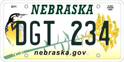 NE license plate DGT234