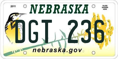 NE license plate DGT236