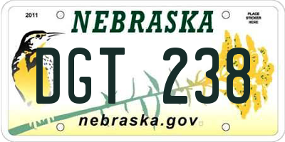 NE license plate DGT238