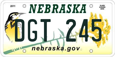 NE license plate DGT245