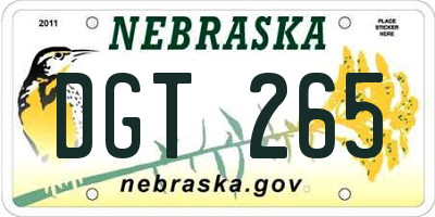 NE license plate DGT265