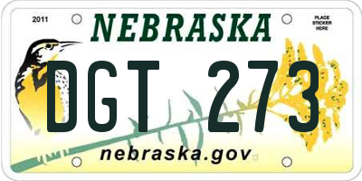NE license plate DGT273