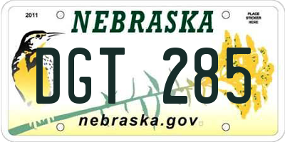 NE license plate DGT285
