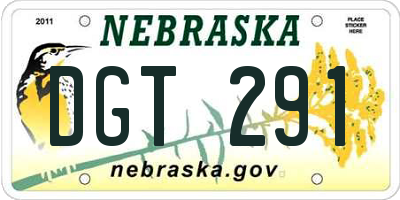 NE license plate DGT291