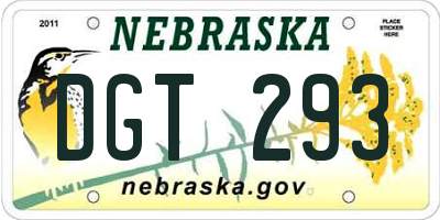 NE license plate DGT293