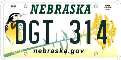 NE license plate DGT314
