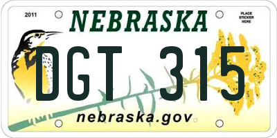NE license plate DGT315