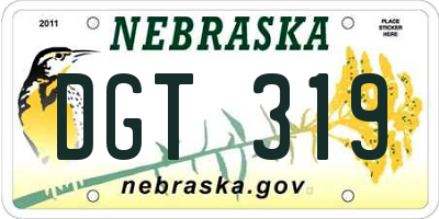 NE license plate DGT319